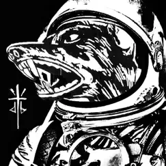 Next Order / Middle Finger - Single by Dog Blood album reviews, ratings, credits
