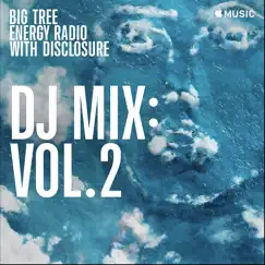 Big Tree Energy Radio, Vol. 2 (DJ Mix) by Disclosure album reviews, ratings, credits