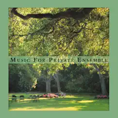 Music For Private Ensemble by Sean McCann album reviews, ratings, credits