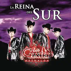 La Reina del Sur - Single by Los Cuates de Sinaloa album reviews, ratings, credits