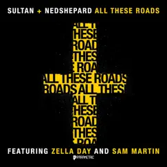 All These Roads (feat. Zella Day & Sam Martin) - Single by Sultan & Ned Shepard album reviews, ratings, credits