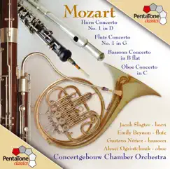 Flute Concerto No. 1 In G Major, K. 313 : I. Allegro Maestoso Song Lyrics