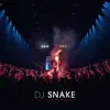 Live at Paris La Défense Arena (DJ Mix) album lyrics, reviews, download