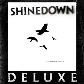 The Sound of Madness (Bonus Track Version) by Shinedown album download