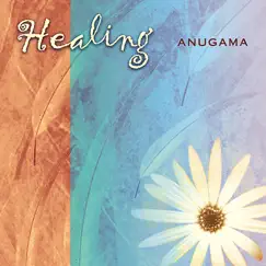 Healing (Relaxation Environment) by Anugama album reviews, ratings, credits