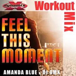 Feel This Moment (feat. Amanda Blue) - Single (Workout Mix) by DJ DMX album reviews, ratings, credits