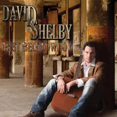 Rust Belt Cowboy by David Shelby album reviews, ratings, credits