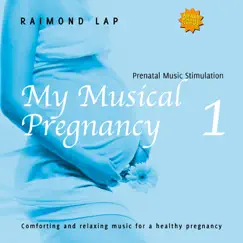 Pregnant and Inspired Song Lyrics