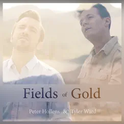 Fields of Gold (A Cappella) [feat. Lindsey Stirling] - Single by Peter Hollens & Tyler Ward album reviews, ratings, credits