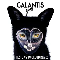 You (Tiësto vs. Twoloud Radio Edit) Song Lyrics