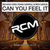 Can You Feel It (Ronn Carroll & Emilio Hernandez Remix) song lyrics