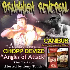 Brainwash Reversal by Chopp Devize album reviews, ratings, credits