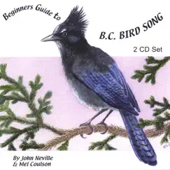 Red-tailed Hawk Song Lyrics