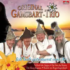 Ich hab geträumt von dir by Original Gamsbart Trio album reviews, ratings, credits