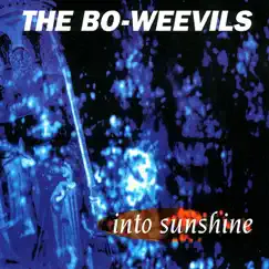 Into Sunshine by The Bo-Weevils album reviews, ratings, credits