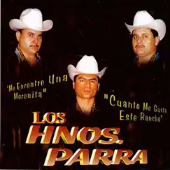 Dos Hojas Sin Rumbo Song Lyrics