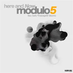 Here and Now by Modulo5 album reviews, ratings, credits