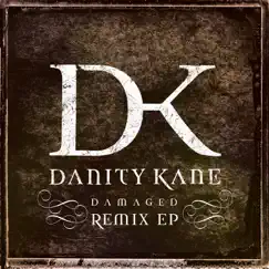 Damaged (DJ Richie Rich X-Mix Remix) Song Lyrics
