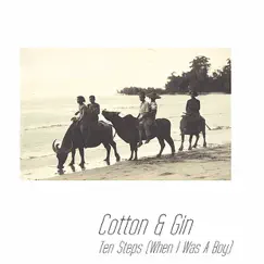 Ten Steps (When I Was A Boy) - Single by Cotton & Gin album reviews, ratings, credits