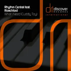 What I Need (Cuddly Toy) [feat. Roachford] - Single by Rhythm Central album reviews, ratings, credits