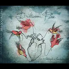 How to Untangle a Heartache by Driftwood Fire album reviews, ratings, credits