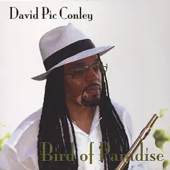 Bird of Paradise by David 