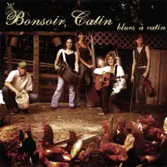 Blues a Catin by Bonsoir Catin album reviews, ratings, credits