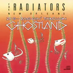 Zig-Zaggin' Through Ghostland by The Radiators album reviews, ratings, credits