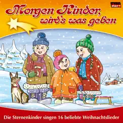 Ihr Kinderlein kommet Song Lyrics