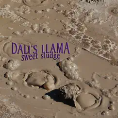 Sweet Sludge by Dali's Llama album reviews, ratings, credits