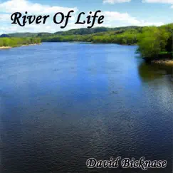 River of Life by David Bicknase album reviews, ratings, credits