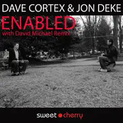 Enabled (David Michael's Disabled Remix) Song Lyrics