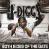 Both Sides of the Gate album lyrics, reviews, download