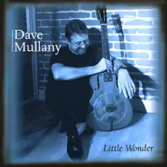 Little Wonder by Dave Mullany album reviews, ratings, credits