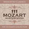 Flute Concerto No. 1 In G Major, K. 313: I. Allegro Maestoso song lyrics