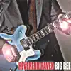 Big Bee album lyrics, reviews, download