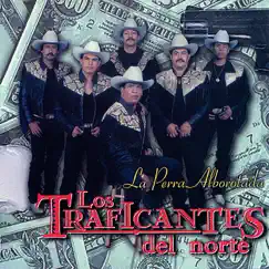 La Perra Alborotada by Los Traficantes del Norte album reviews, ratings, credits