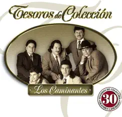 Tesoros de Colección: Los Caminantes by Los Caminantes album reviews, ratings, credits