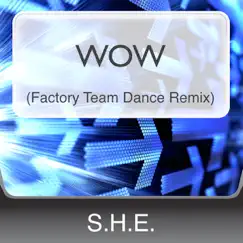 Wow (Factory Team Dance Remix) Song Lyrics