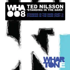 Standing In the Dark - Single by Ted Nilsson album reviews, ratings, credits