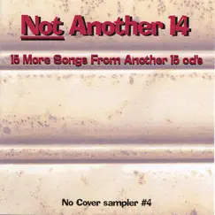 Not Another 14 by Compilation album reviews, ratings, credits