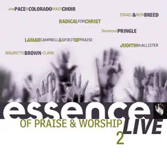 Essence Of Praise & Worship Vol. 2 by Various Artists album reviews, ratings, credits