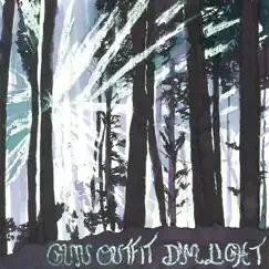 Dim Light by Gun Outfit album reviews, ratings, credits