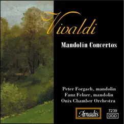 Mandolin Concerto in D Major, RV 93: I. Allegro Song Lyrics