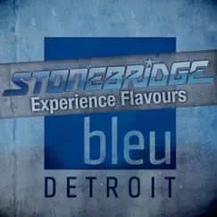 StoneBridge Experience Flavours Detroit by StoneBridge album reviews, ratings, credits