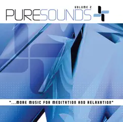 Pure Sounds, Vol. 2 by Pure Sounds album reviews, ratings, credits