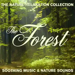 The Nature Relaxation Collection - the Forest / Soothing Music and Nature Sounds by Sugo Music Artists album reviews, ratings, credits