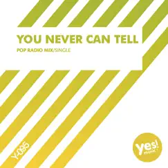 You Never Can Tell (Pop Radio Mix) Song Lyrics