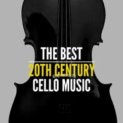 Concerto in A Minor for Cello and Orchestra, Op. 22: II. Andante sostenuto Song Lyrics