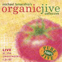 Michael LaMacchia's Organic Jive Collective (Live At the Sweetwater 1-31-07) by Michael Lamacchia's Organic Jive Collective album reviews, ratings, credits